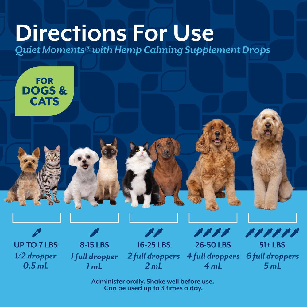 NaturVet Hemp Quiet Moments Drops shown during storms or travel stress.