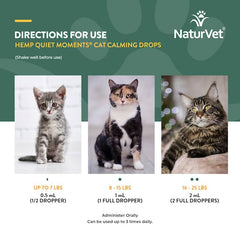 NaturVet Hemp Quiet Moments cat during a storm scene for calming aid