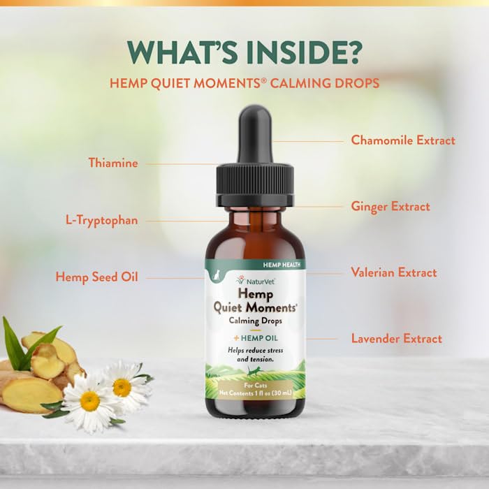 NaturVet Hemp Quiet Moments travel ginger component supports travel comfort