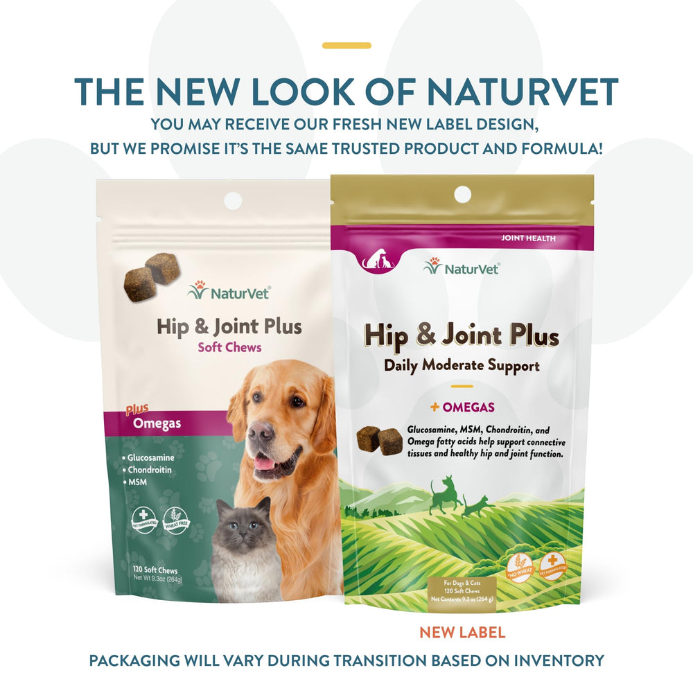 NaturVet Hip & Joint Plus Soft Chew inside bag shows easy-to-feed chews for daily mobility support.