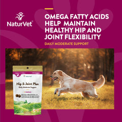 NaturVet Hip & Joint Plus Soft Chew close-up texture highlights palatable formula dogs enjoy.