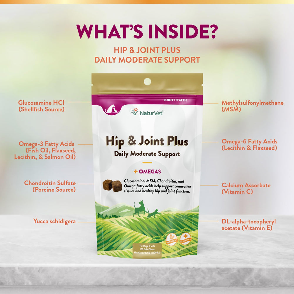 NaturVet Hip & Joint Plus Soft Chew dog treats ready to feed during daily routine.