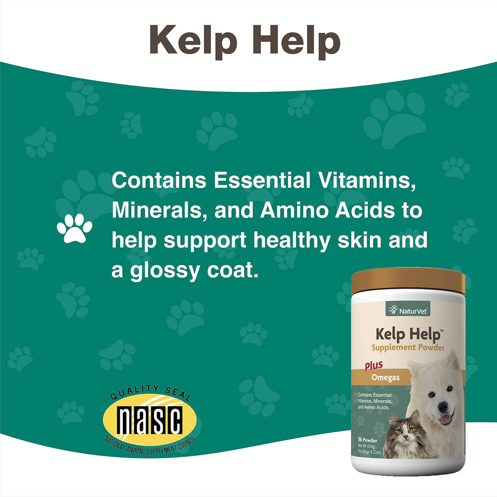 NaturVet Kelp Help Plus Omegas mix-dog-bowl shows easy incorporation into meals.