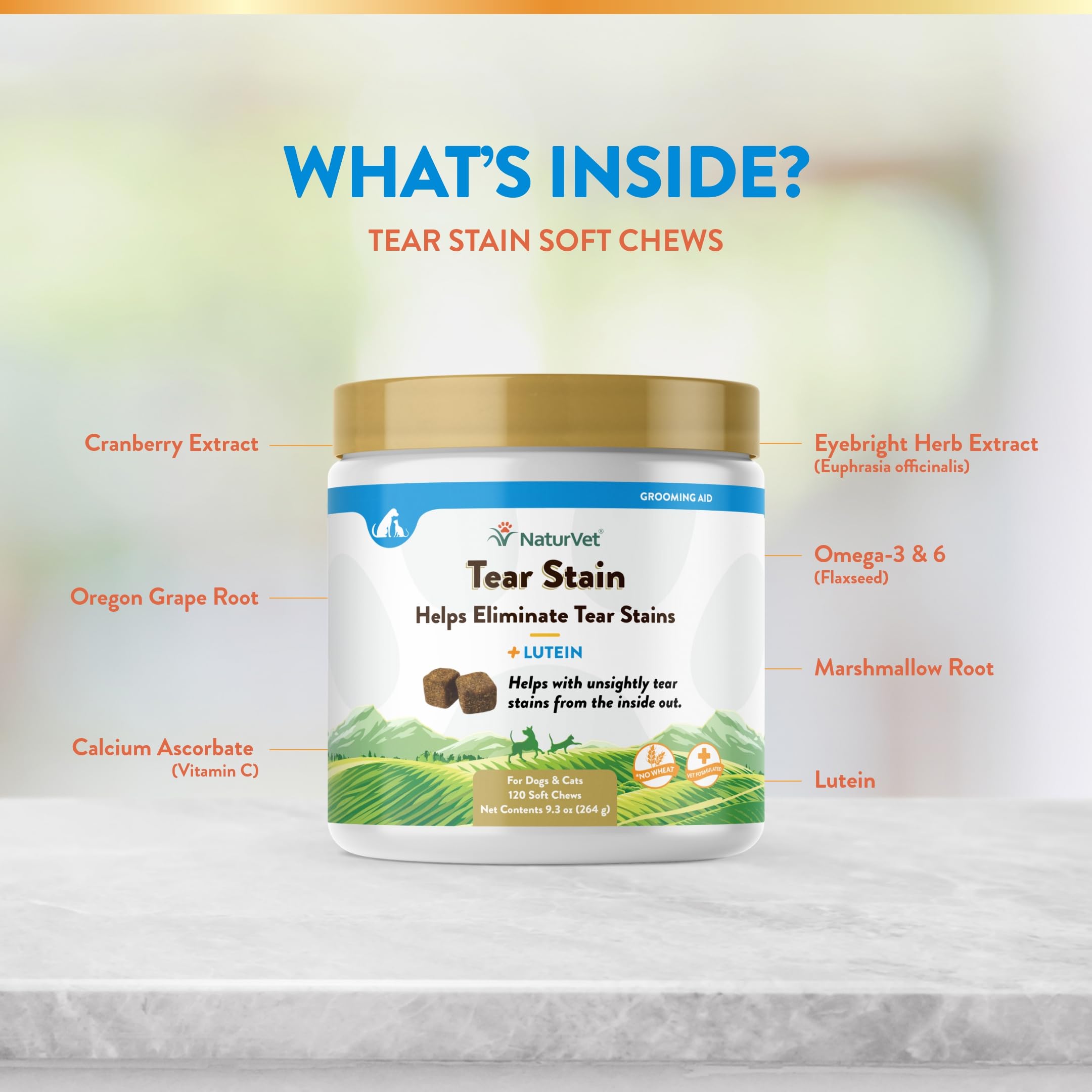 NaturVet Lutein Tear Stain cat lifestyle indoors highlights tidy facial staining.