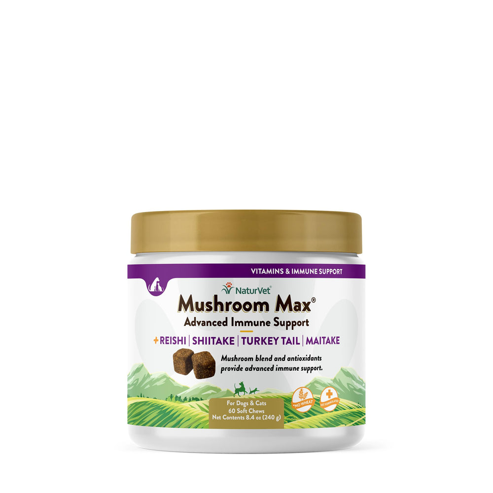 NaturVet Mushroom Max bottle front view highlighting immune support packaging for dogs.
