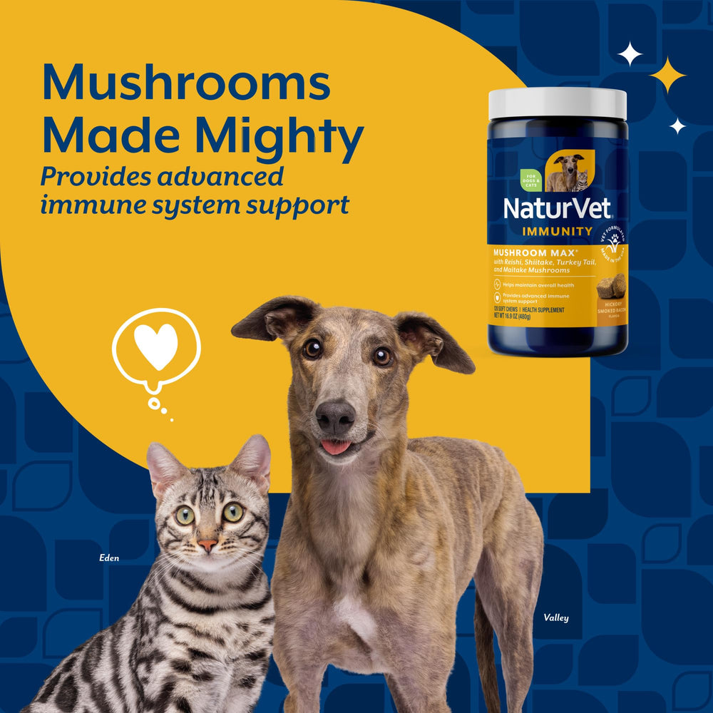 NaturVet Mushroom Max shown during dog feeding for easy daily administration.