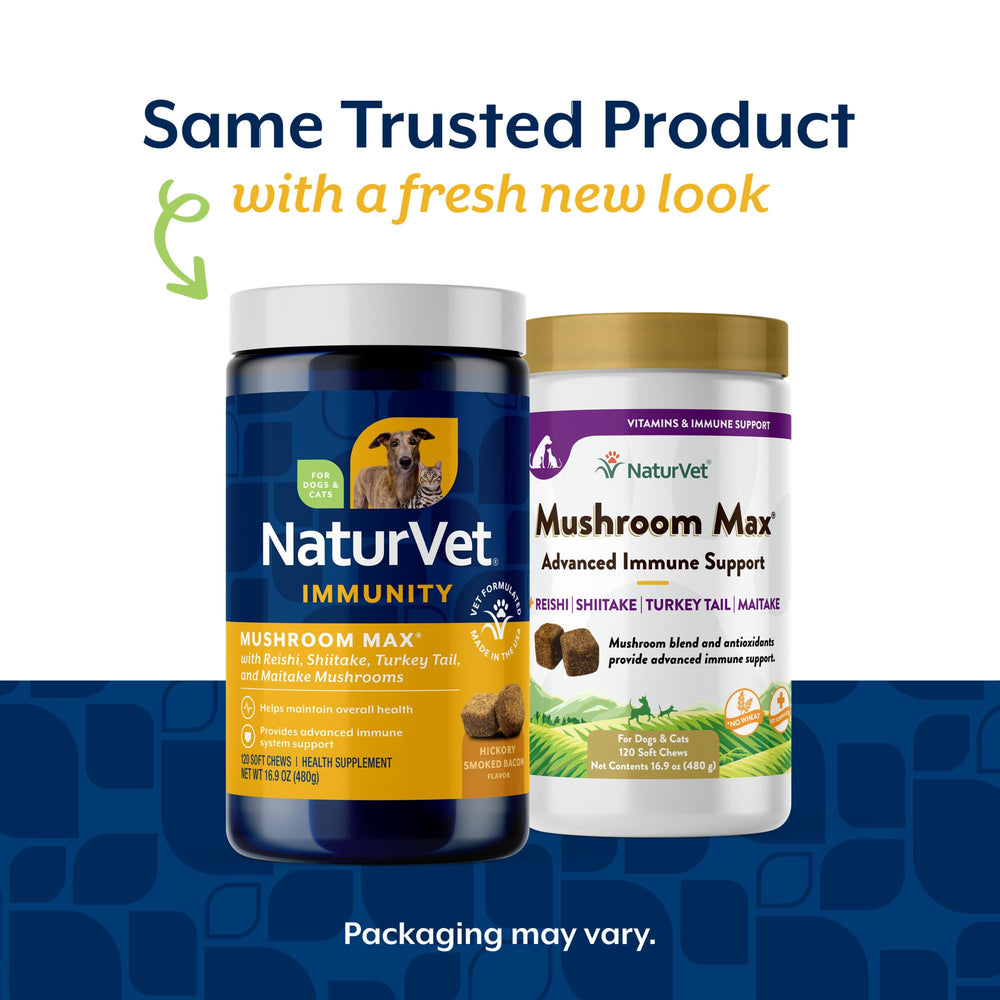NaturVet Mushroom Max pills prepared for daily canine immune health support.