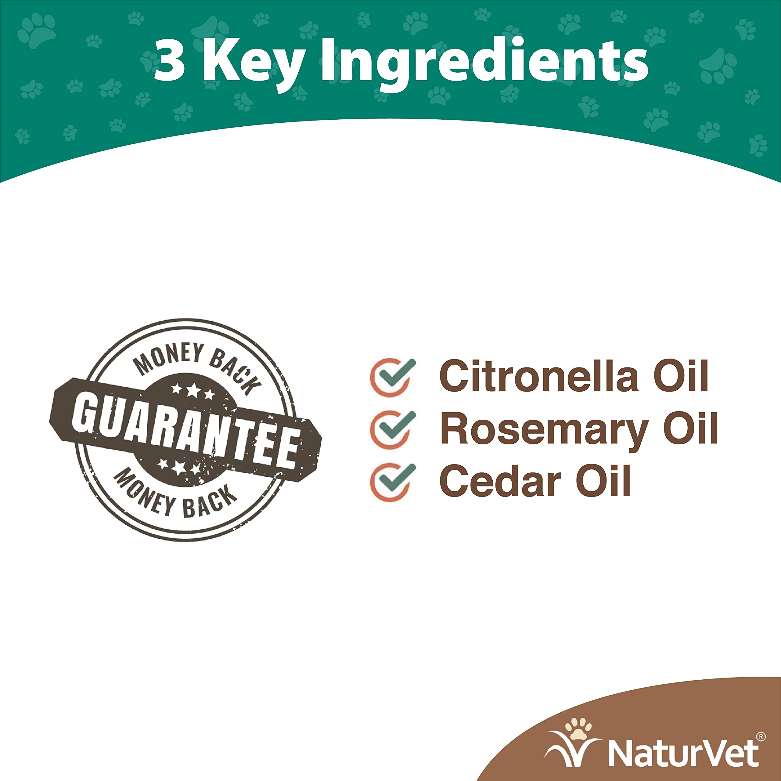 NaturVet horse spray repellant on legs delivers targeted protection during turnout and riding.