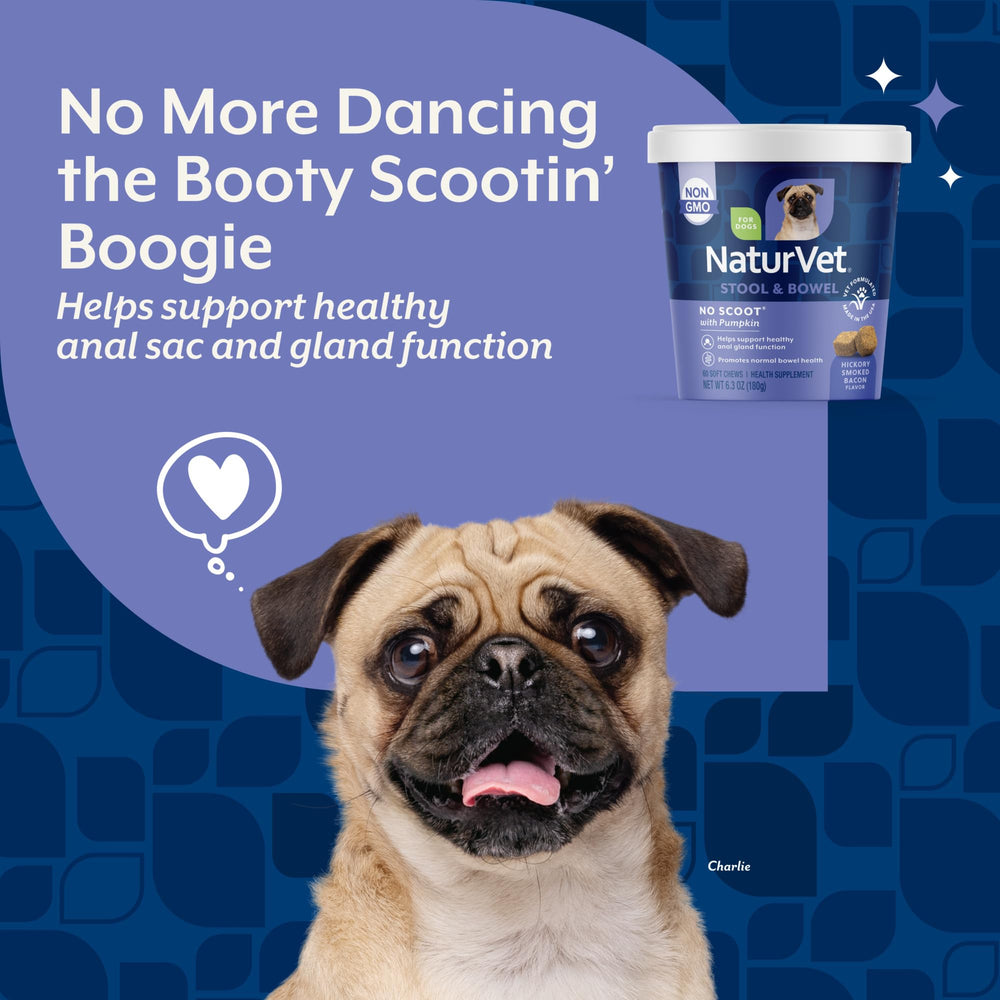 NaturVet No Scoot: pulpa de remolacha para fibra.