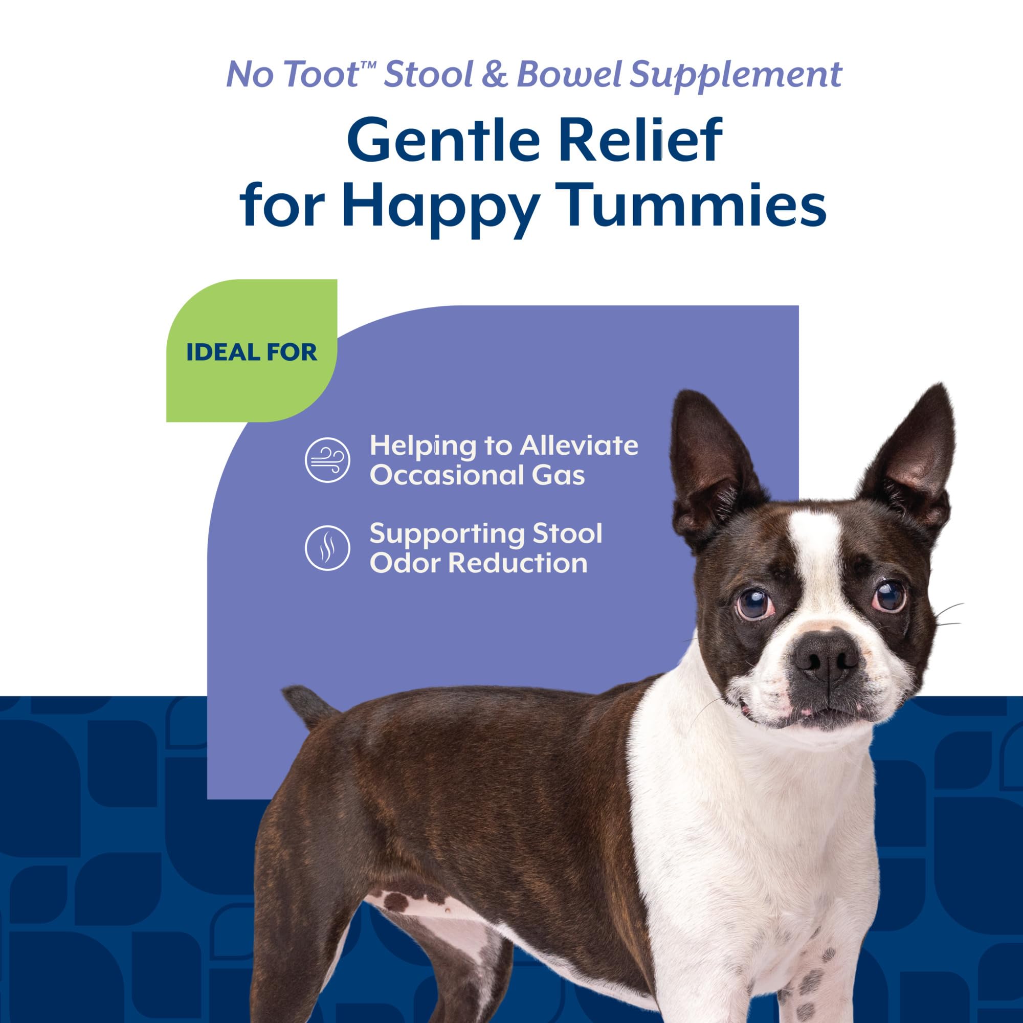 NaturVet No Toot Gas Aid dispensing jar for easy dosing and odor control.