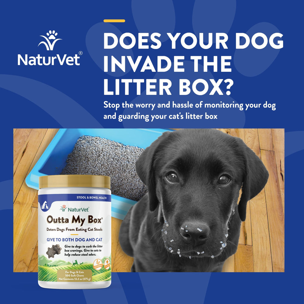 Chews in paw close-up demonstrates convenient dosing for dogs and cats and odor reduction potential.