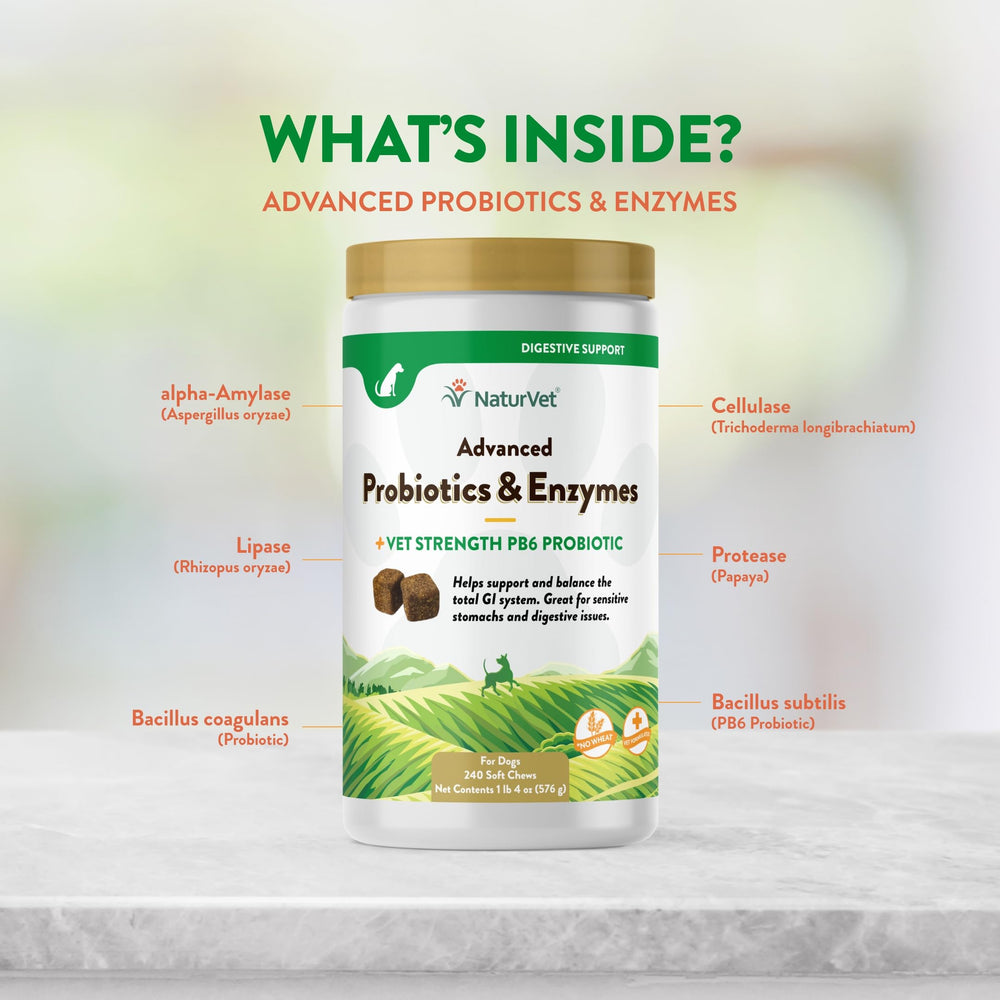 NaturVet PB6 dog soft chews closeup texture reveals chewy, palatable snack for dogs.