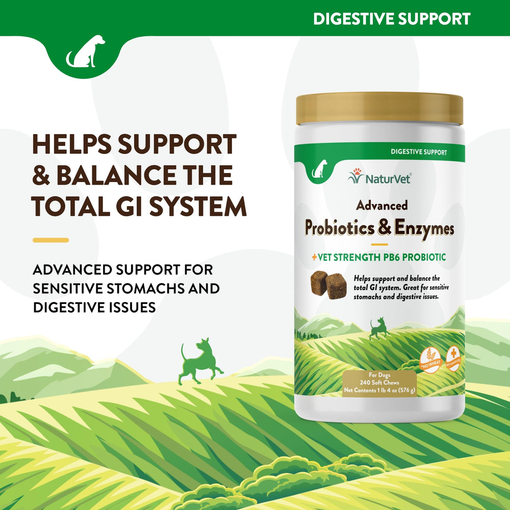 NaturVet PB6 dog soft chews label ingredients shows probiotic enzymes blend for balanced digestion.