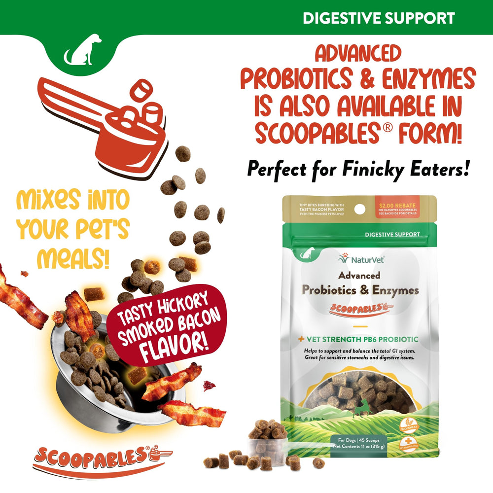 NaturVet PB6 dog soft chews nose-to-tail care image conveys trusted pet wellness support.