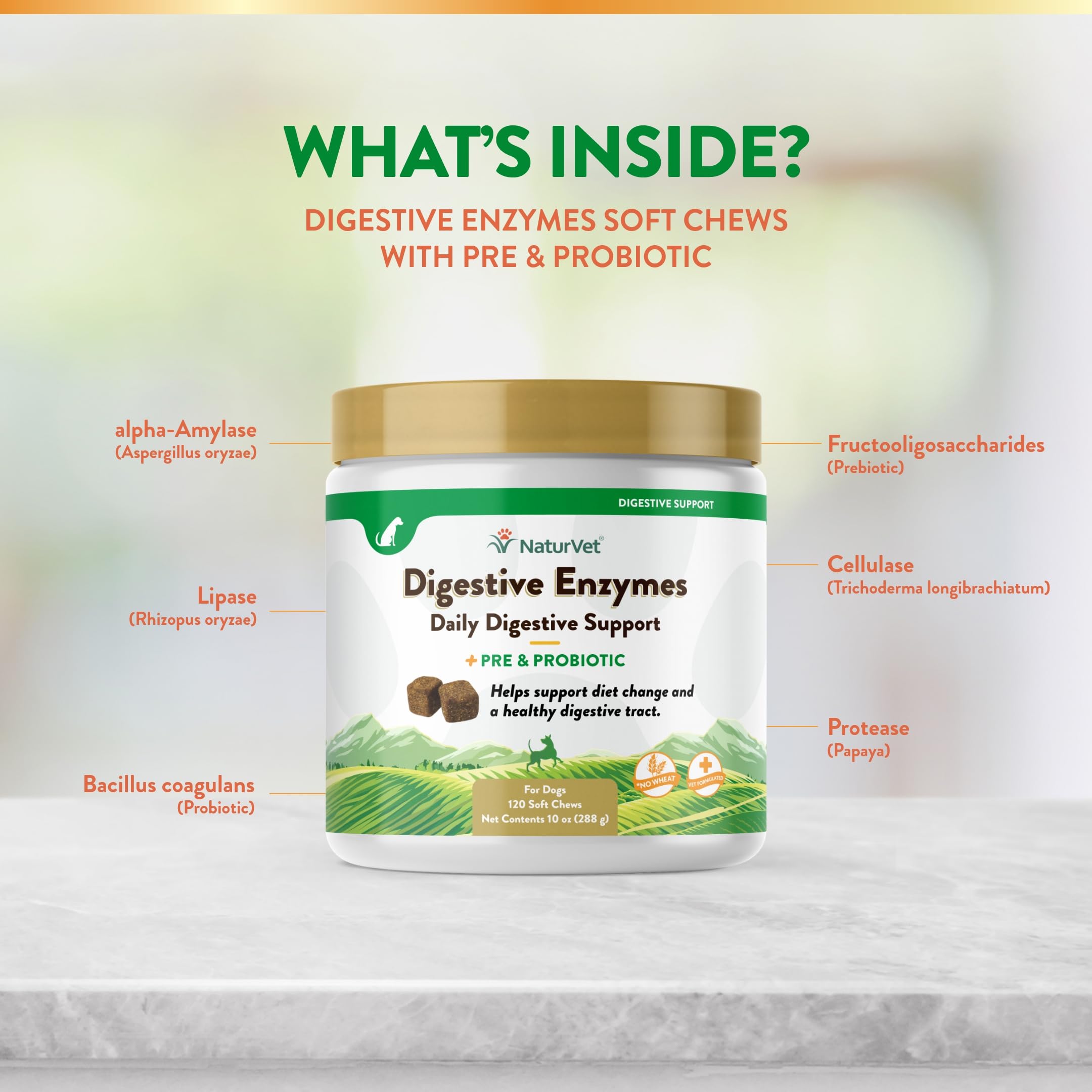 NaturVet illustration depicts digestive wellness during diet changes.