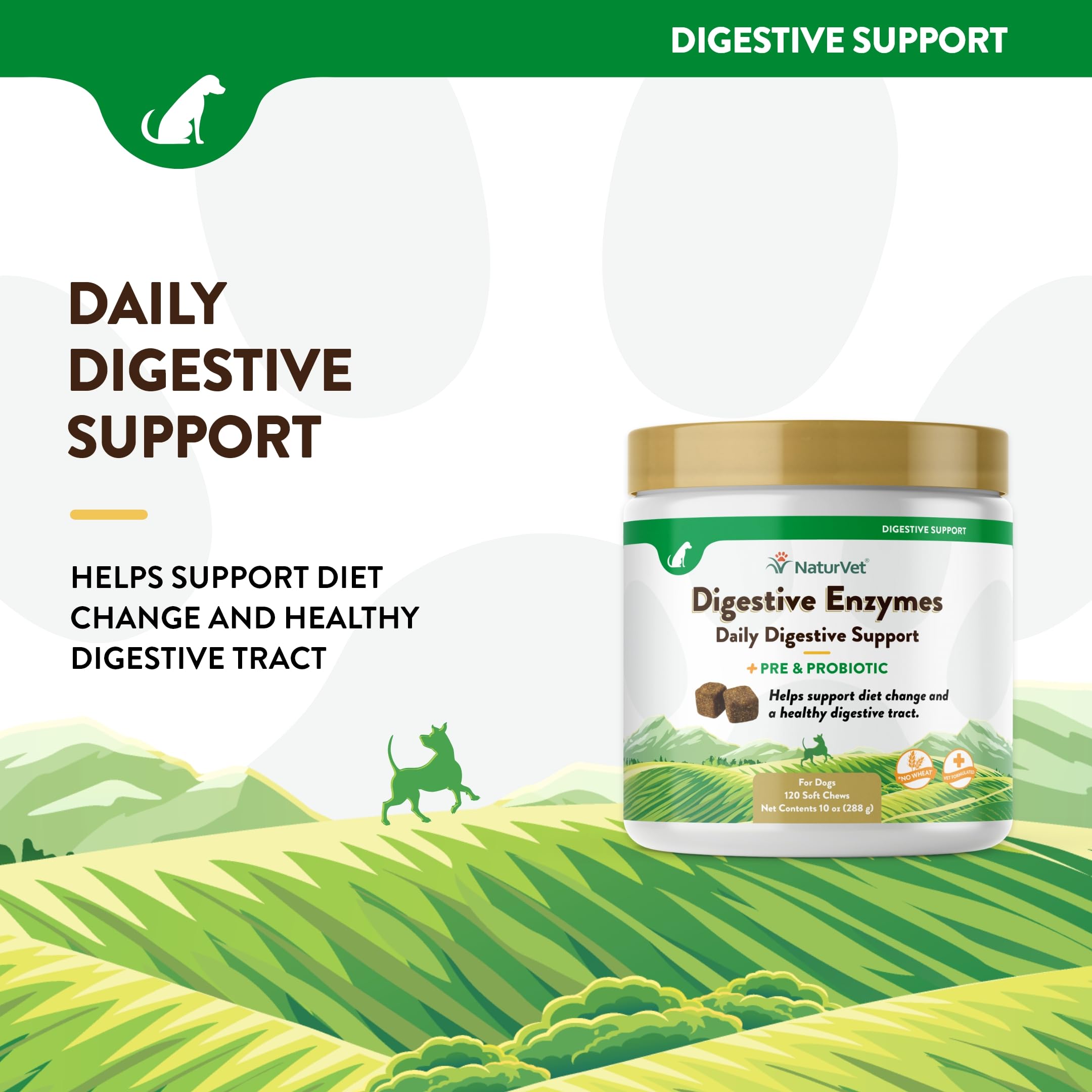NaturVet probiotics-prebiotics balance highlights gut-friendly microbes for a healthier digestion routine.