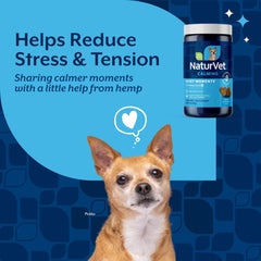 NaturVet Quiet Moments resealable jar preserving freshness for ongoing calming routines.