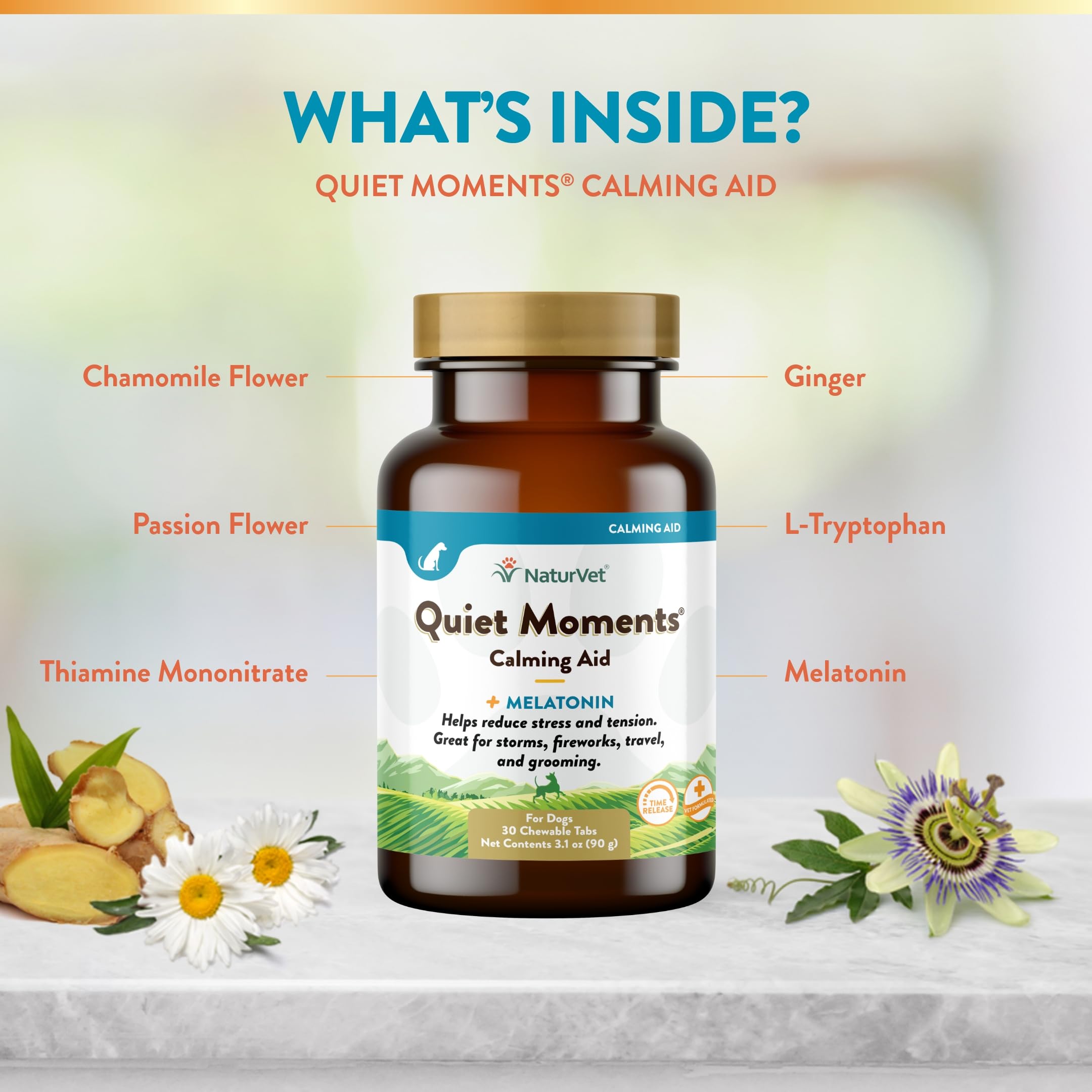 NaturVet Quiet Moments storm anxiety use hints quick soothing moments during weather fright