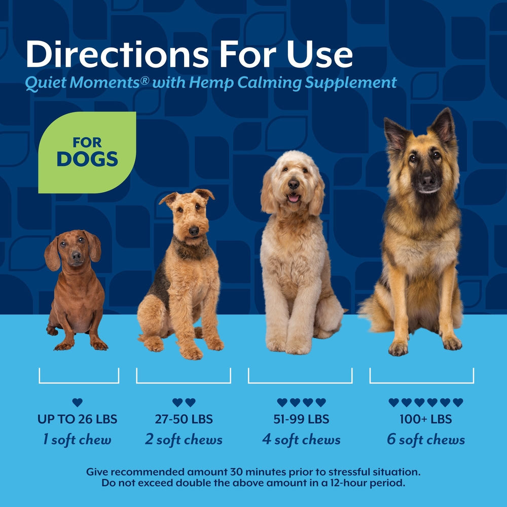 NaturVet Quiet Moments travel kit with chewy treats for car rides.