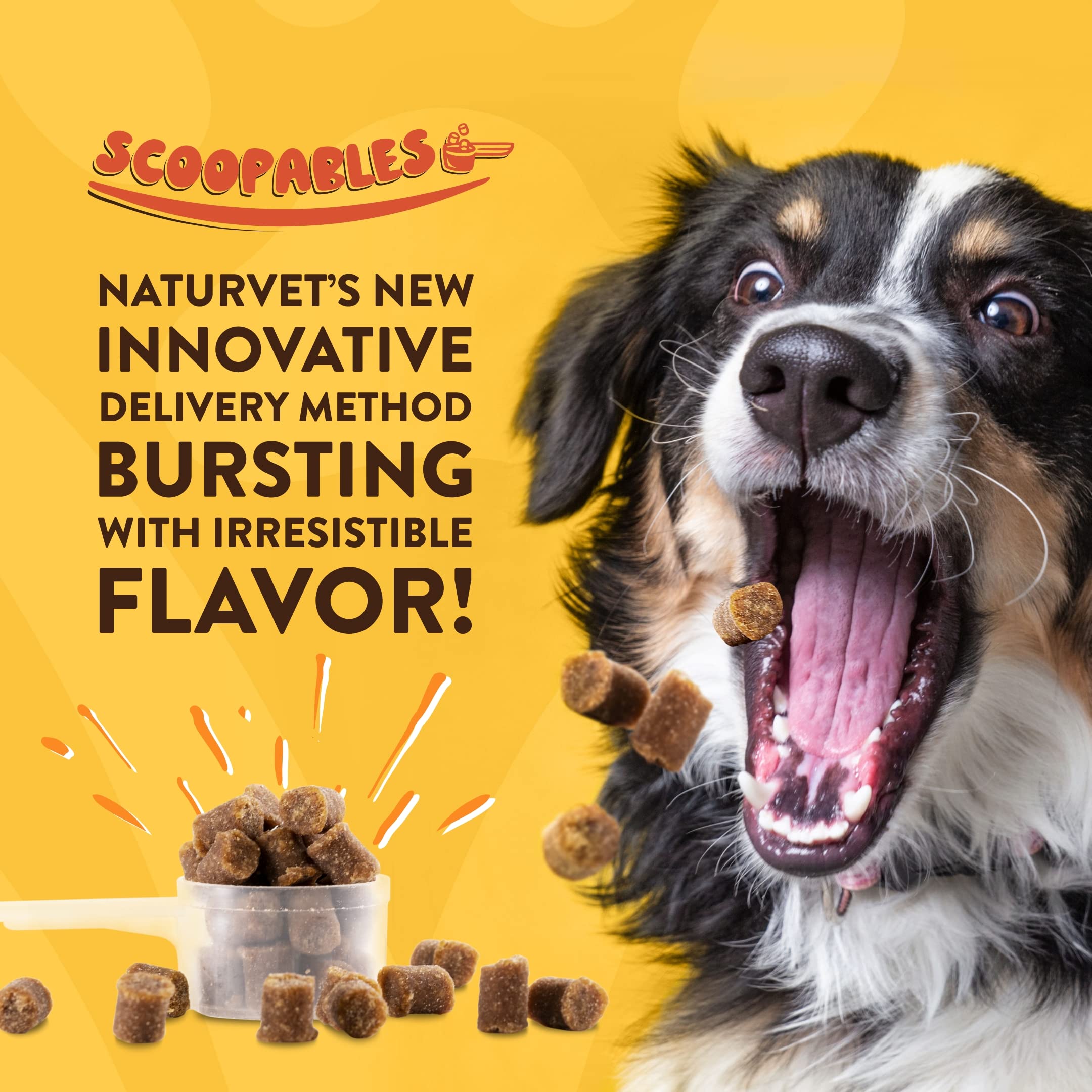 NaturVet Scoopables anal gland support for dogs aids normal bowel patterns