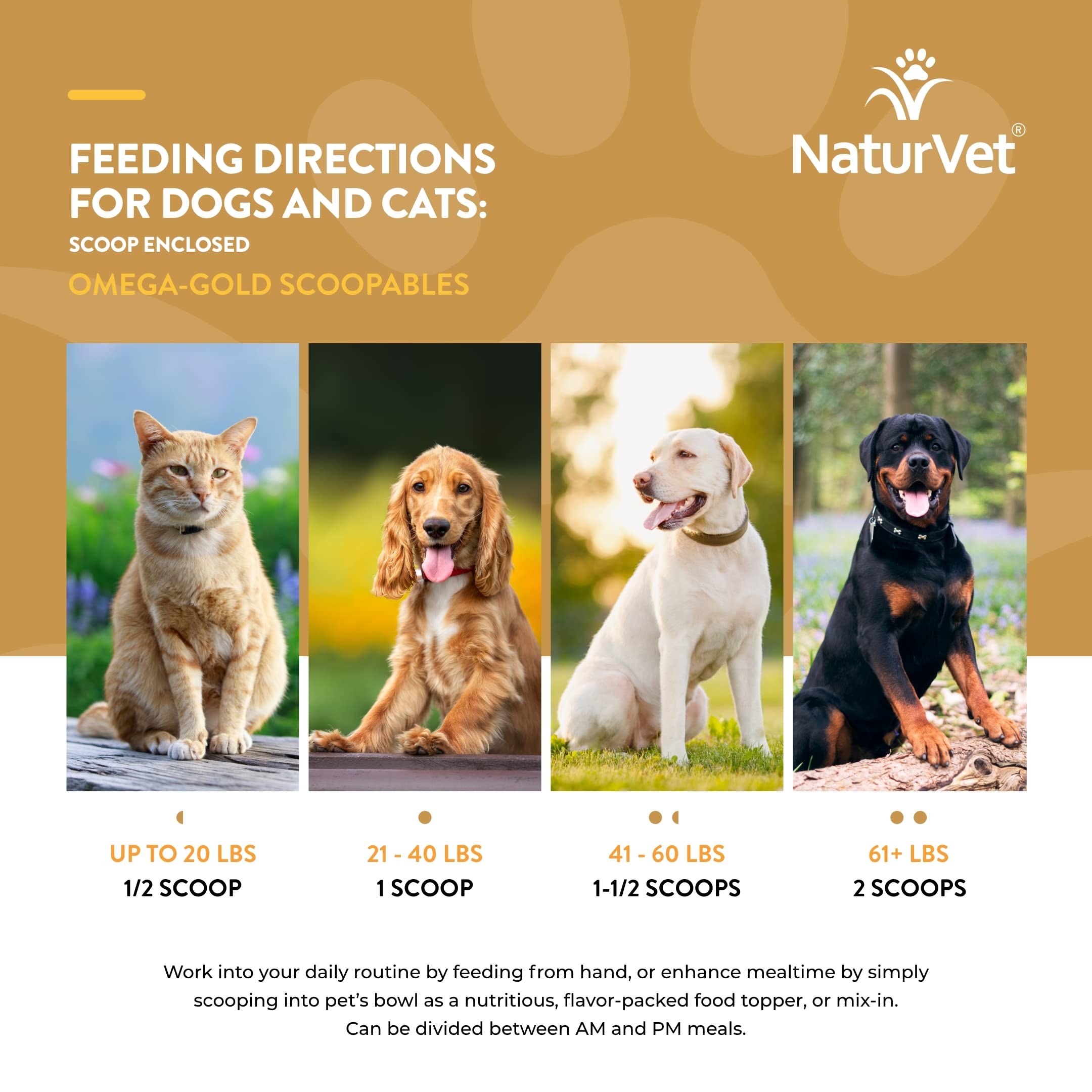 NaturVet Scoopables anchovy-oil-ingredients close-up highlights essential fatty acids for skin support