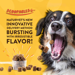 NaturVet Scoopables anchovy oil jar shows flavorful supplement for picky eaters