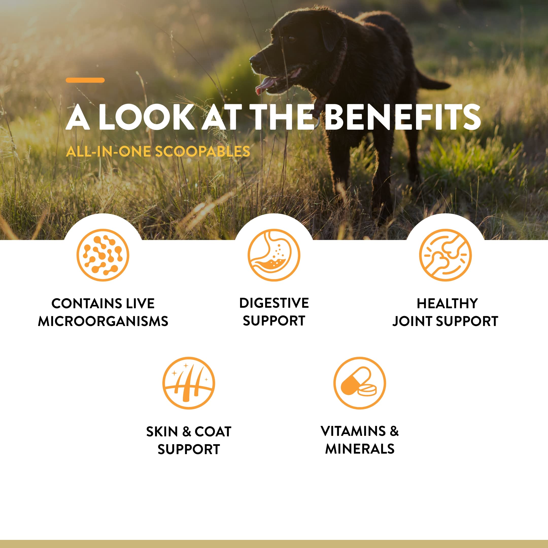 NaturVet Scoopables omega-fatty-acids-skin-coat helps maintain healthy skin and shiny coat