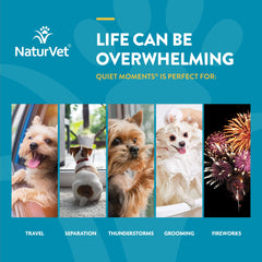 NaturVet Scoopables Quiet Moments storm-use scenario demonstrates calming during storms