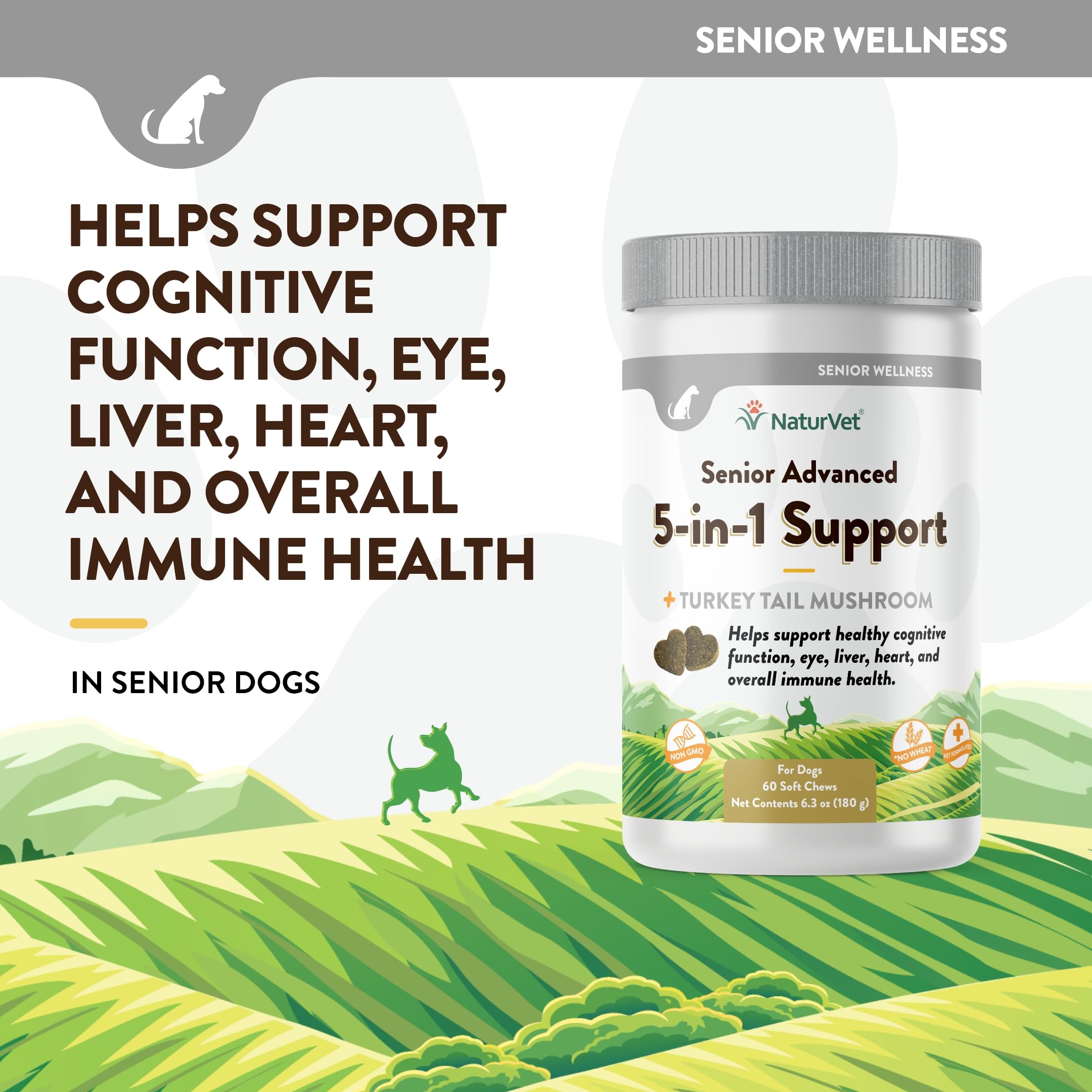 NaturVet Senior Advanced 5-in-1 gingko biloba image highlighting cognitive function support
