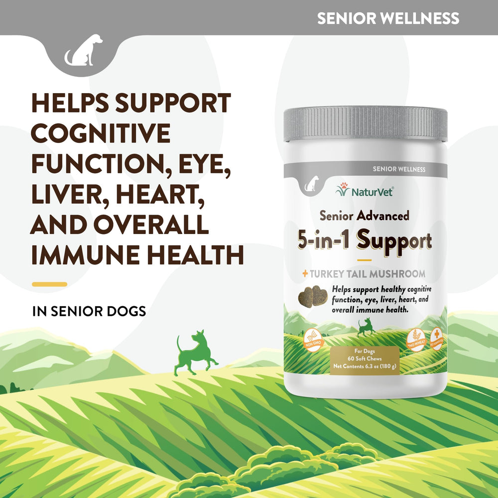 NaturVet Senior Advanced 5-in-1 gingko biloba image highlighting cognitive function support