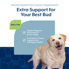NaturVet Senior Advanced Joint Health MSM chondroitin collagen composition suggests mobility support.