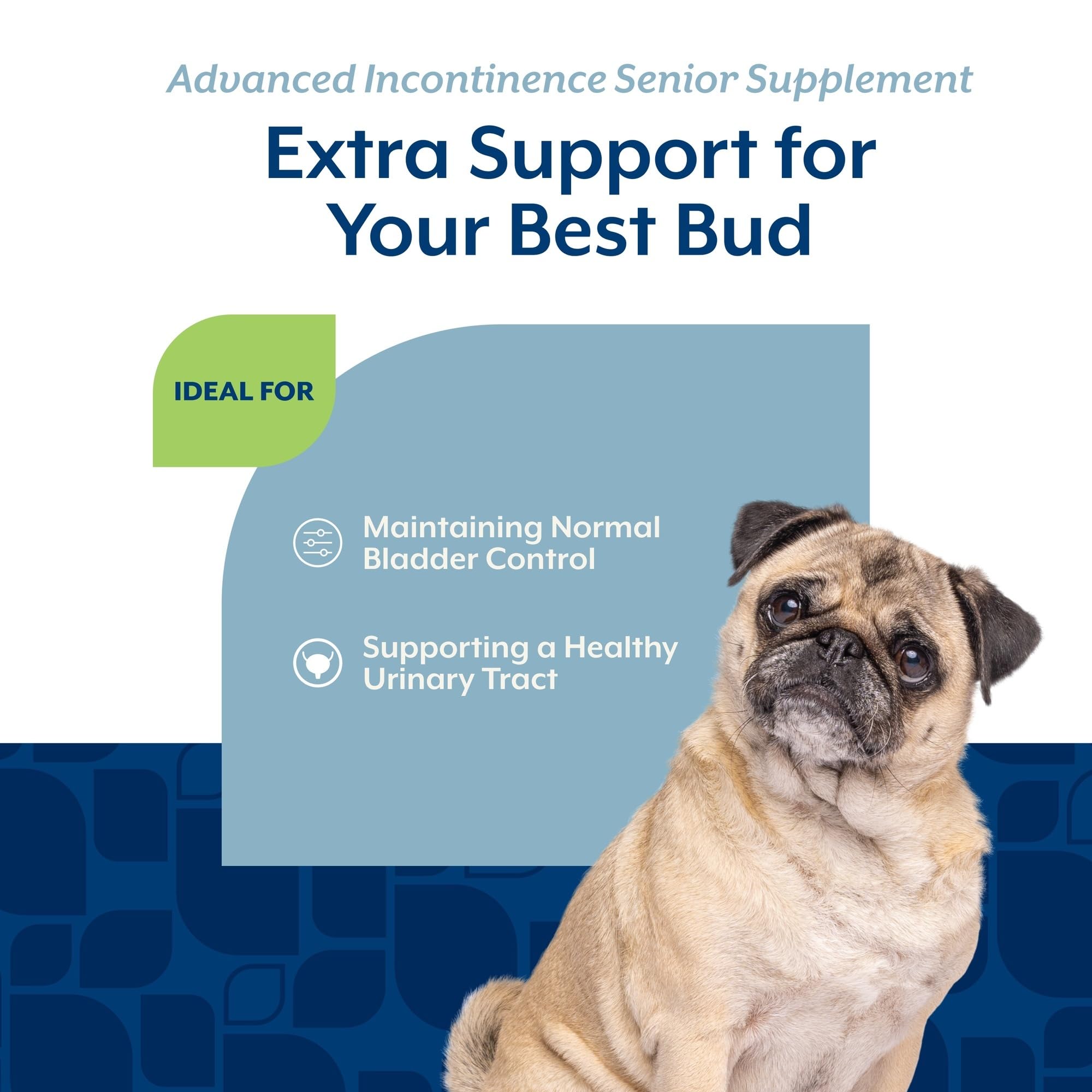 NaturVet Senior dog bladder-control soft chews on label: supplements for improved urination comfort.