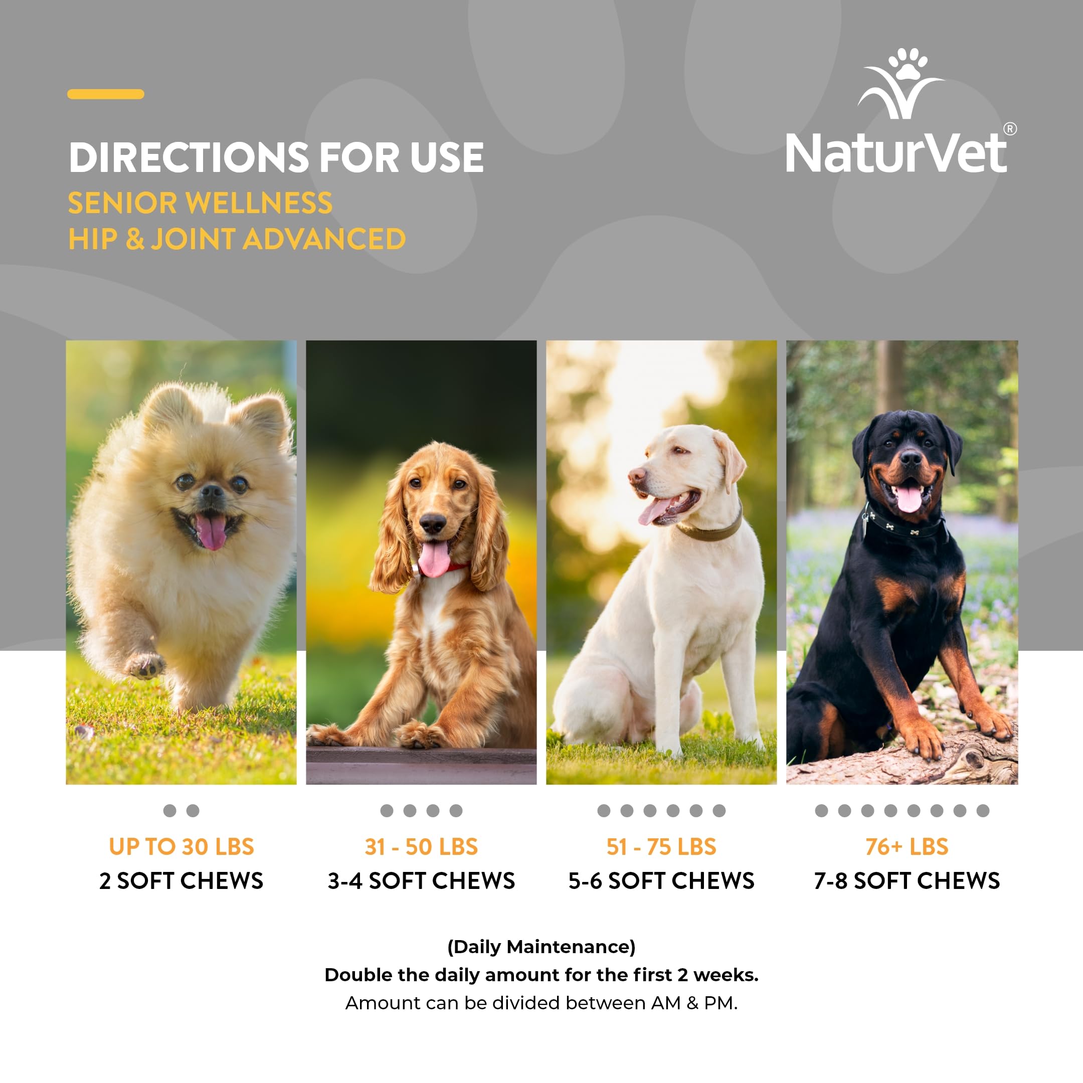 NaturVet Senior Wellness packaging beside a calm aging dog for daily support
