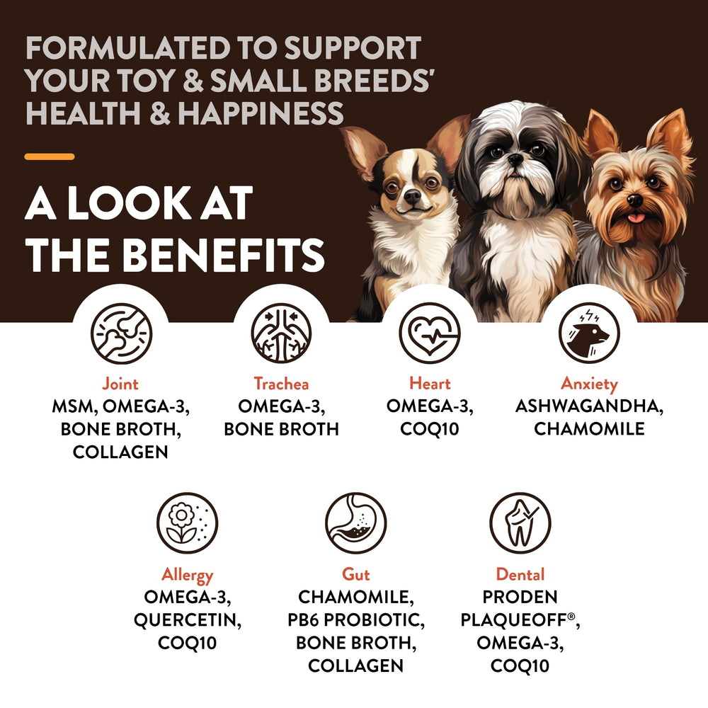 NaturVet Small Breeds Supplement chews in bowl emphasizing skin and coat care