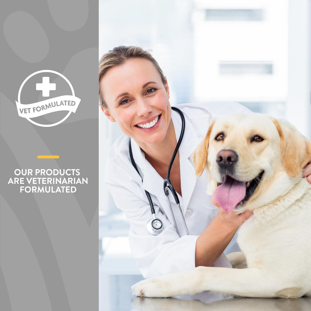 NaturVet soft chews in a bowl reveal feeding-friendly texture and aroma