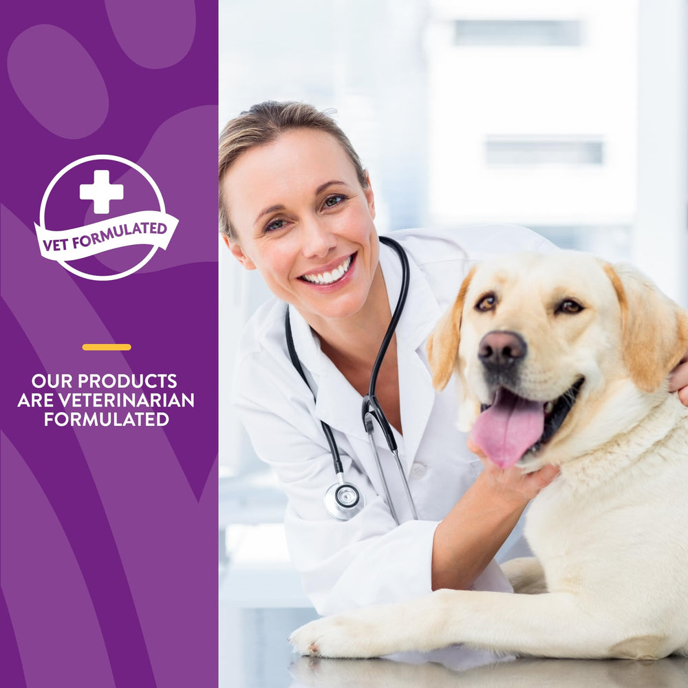 NaturVet Vita Pet Adult Plus Breath Aid tablet beside a dog paw for daily care