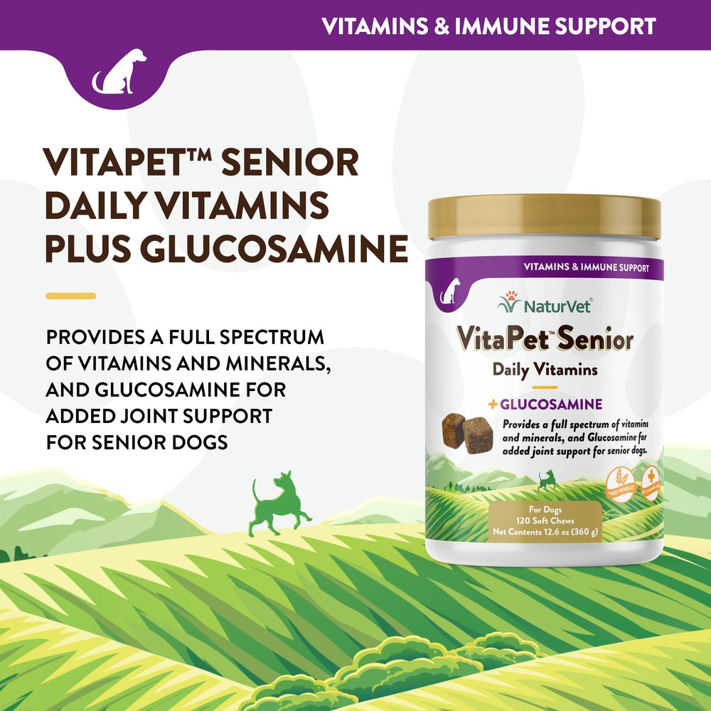 NaturVet VitaPet Senior soft chews promoting joint support during active aging dogs