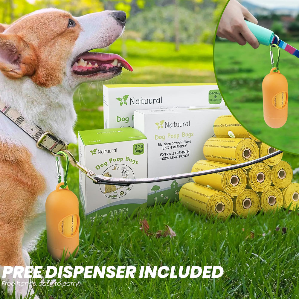 Natuural eco-friendly packaging supports greener choices