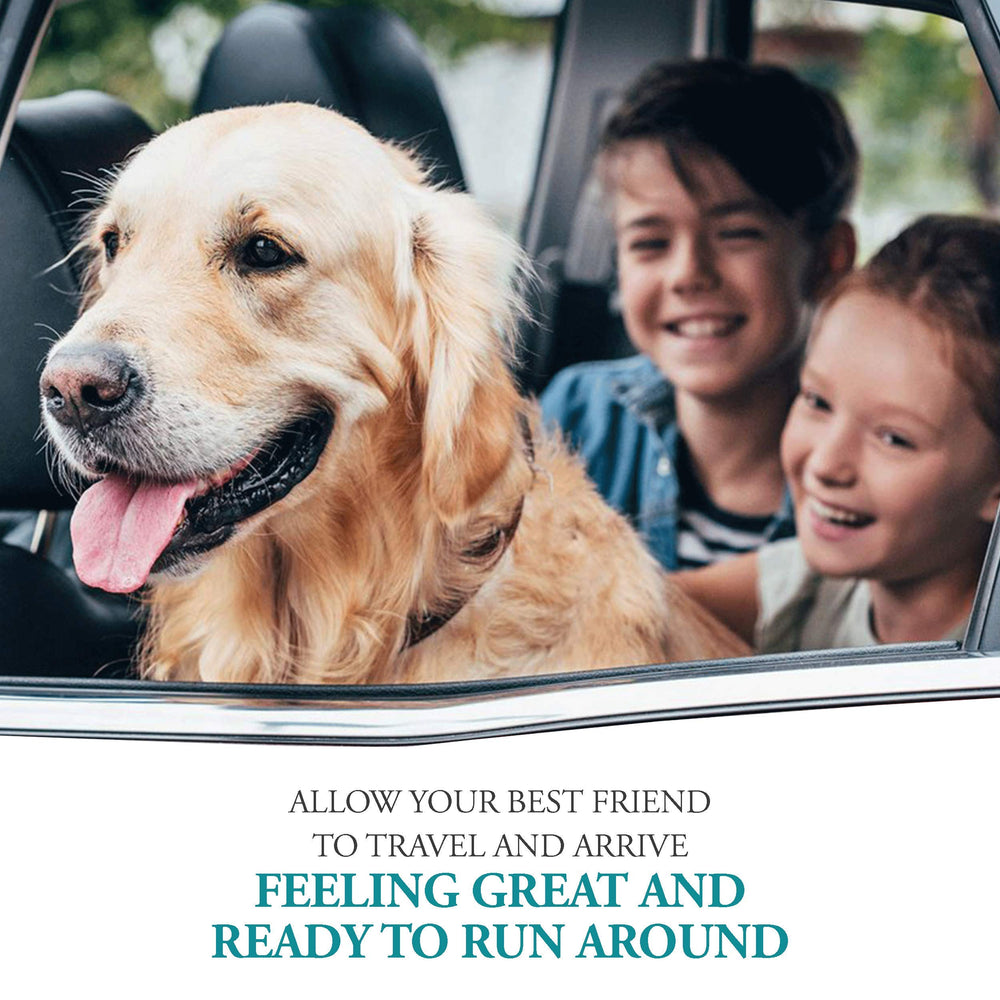 NausX odorless pills convey gentle, non-sedative care for dogs.