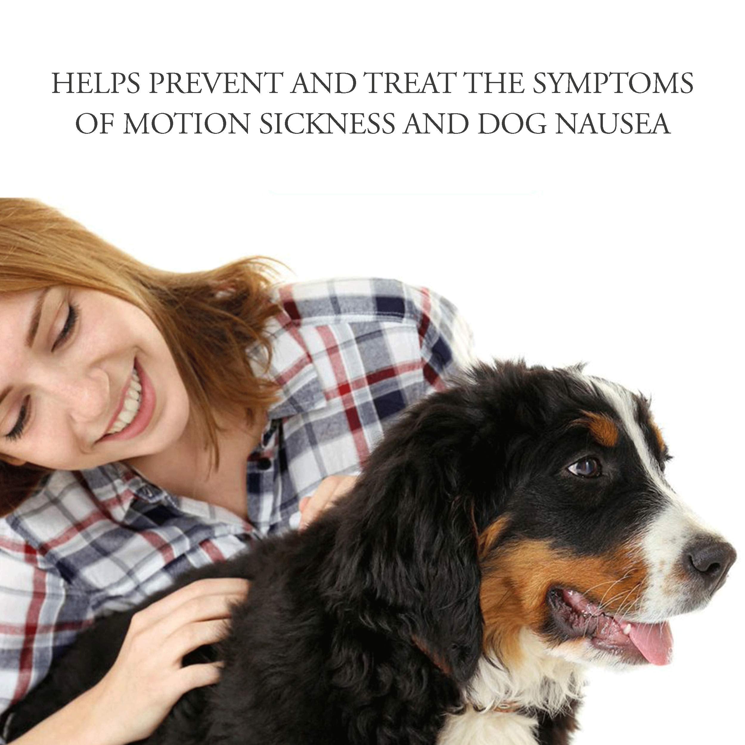 NausX travel scene shows confident dog during transit with motion relief.