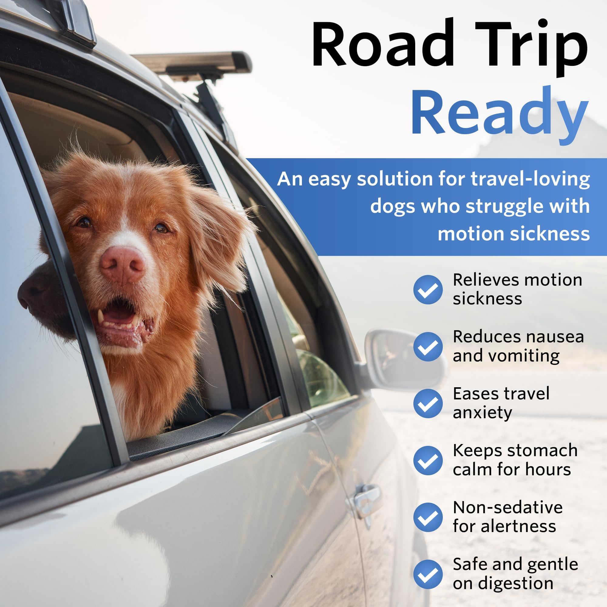 NausX travel kit for dogs shows compact medicine for trips