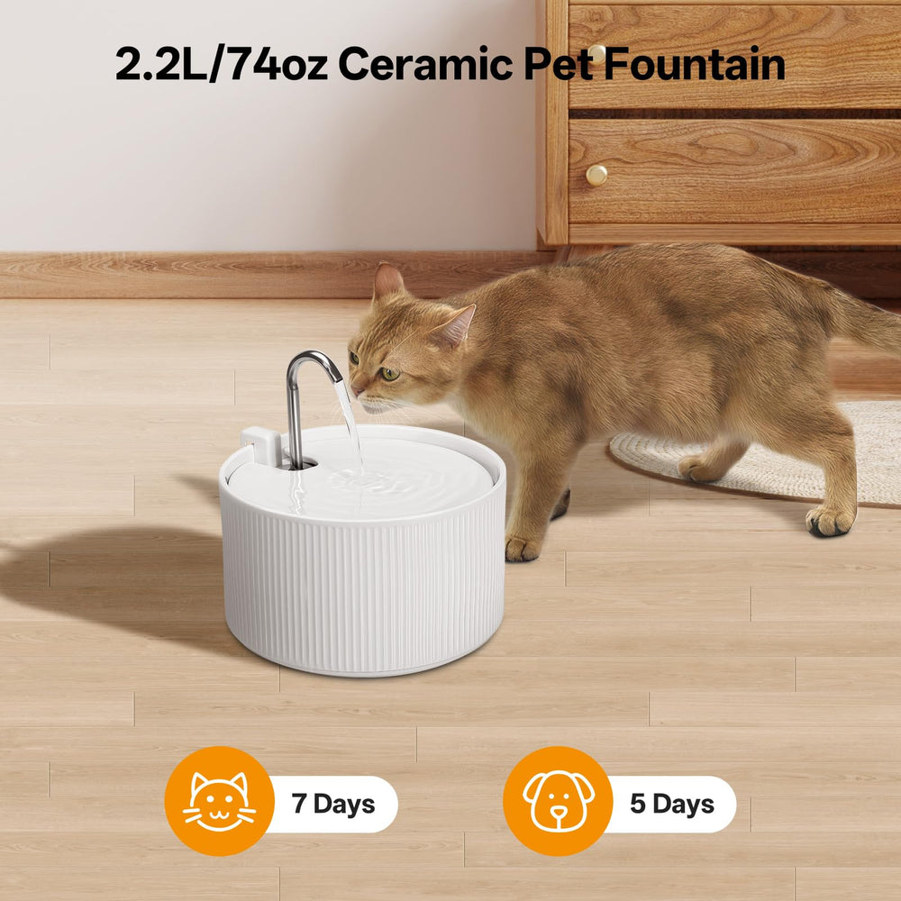 NautyPaws ceramic cat fountain bowl closeup highlighting smooth surface for easy cleaning.