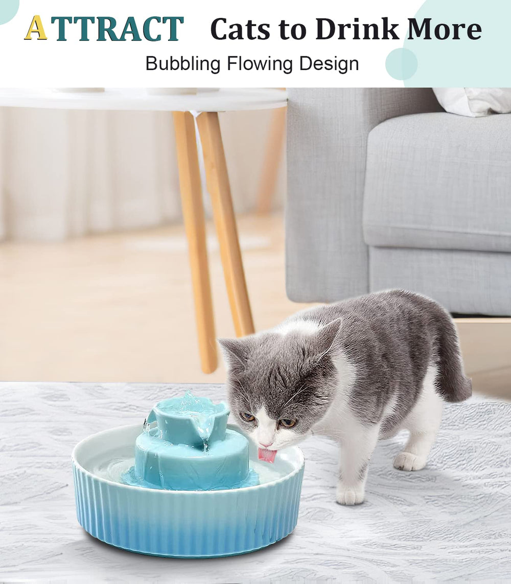 NautyPaws foam filter image highlights hair and debris capture for clean bowls.