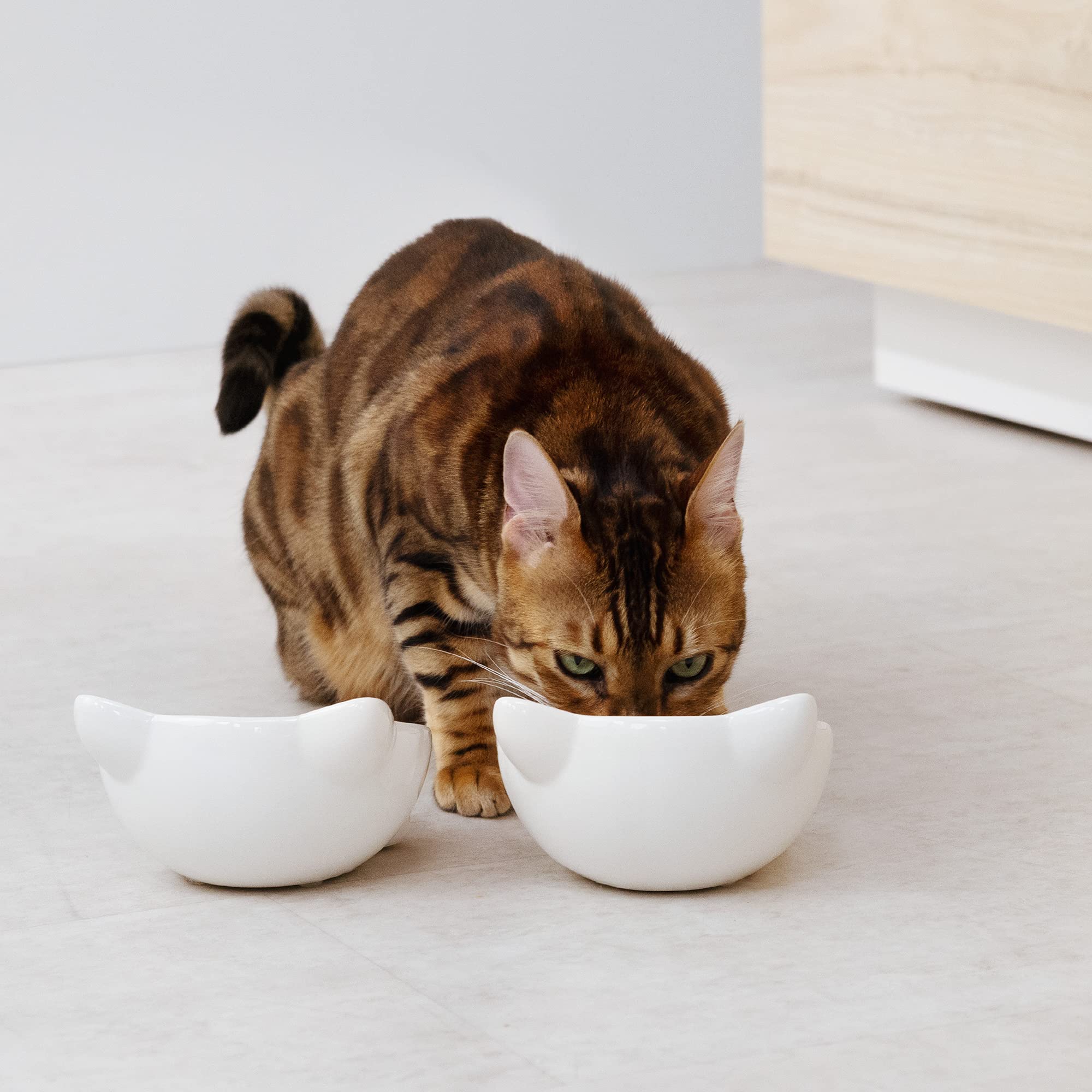 Navaris cat bowls with anti-slip feet prevent spills