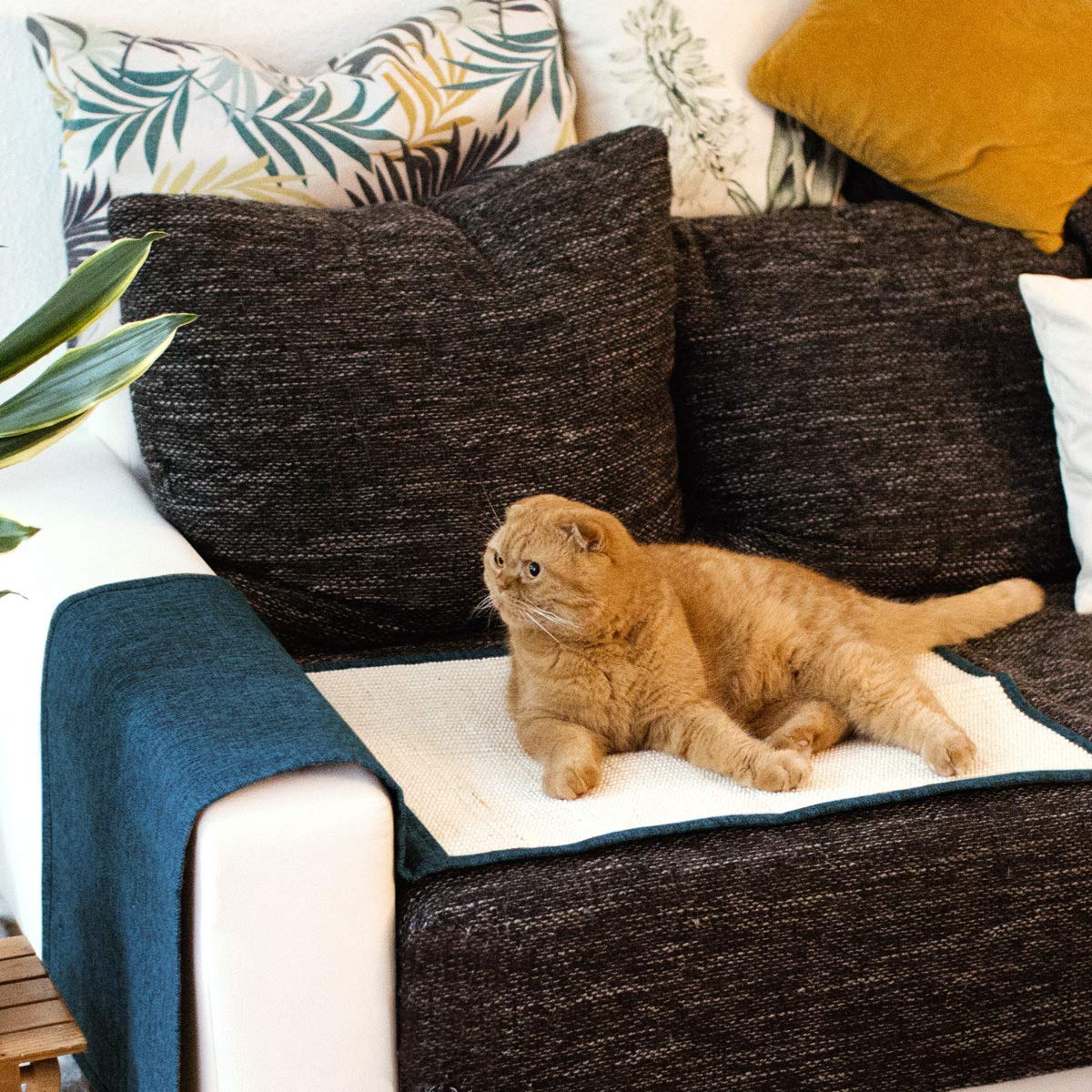 Navaris cat scratch mat used on carpet demonstrates versatile placement around home.