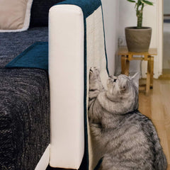 Navaris cat scratch mat attached to sofa edge protects upholstery from claws.
