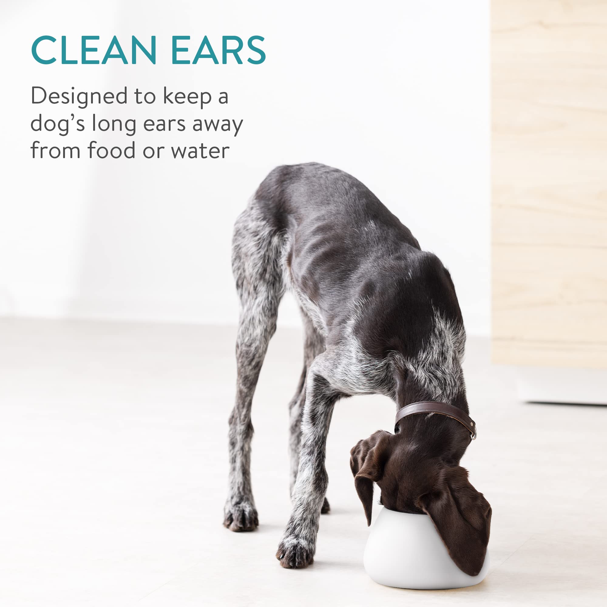 Navaris ceramic dog bowl long-ears-outside shows spill-free dining