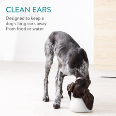 Navaris ceramic dog bowl long-ears-outside shows spill-free dining