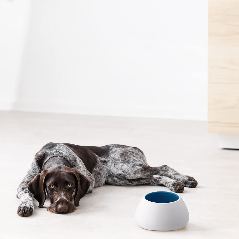 Navaris ceramic dog bowl size specs with measured dimensions