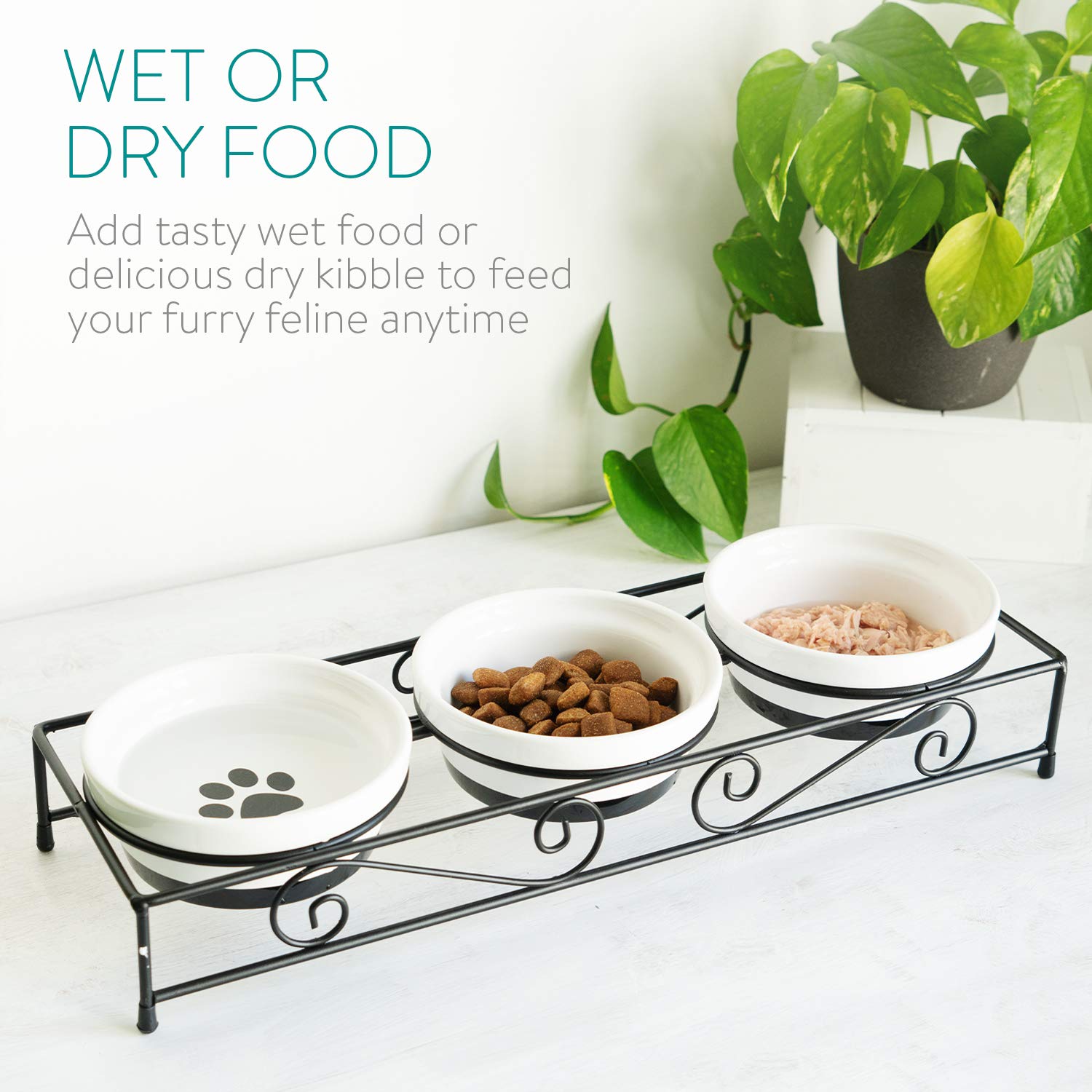Navaris elevated-stand promotes comfortable posture for pets during meals.